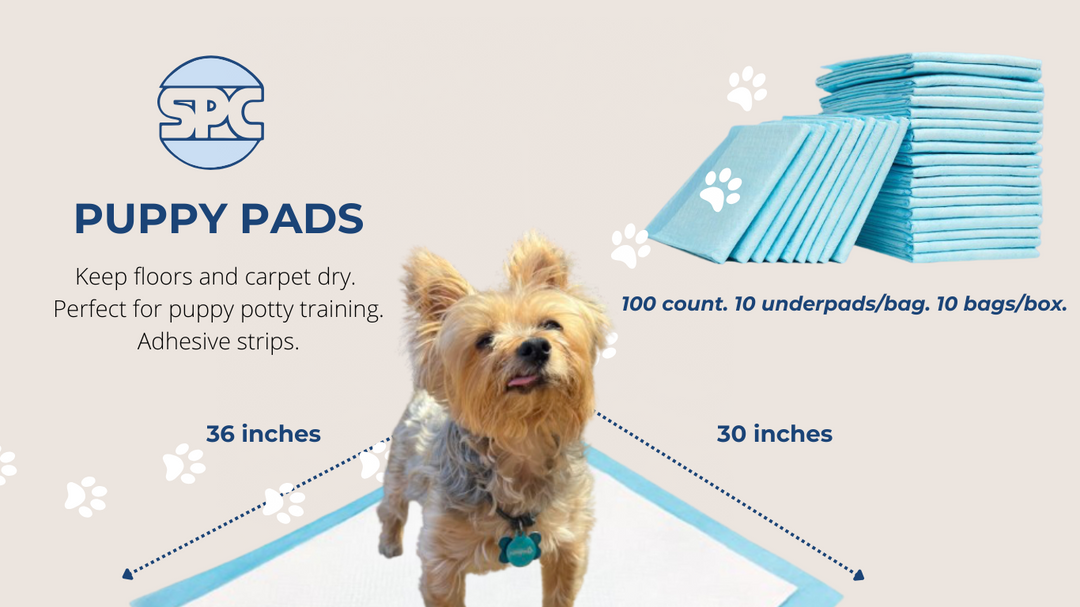 Steps to Potty Training Your Dog