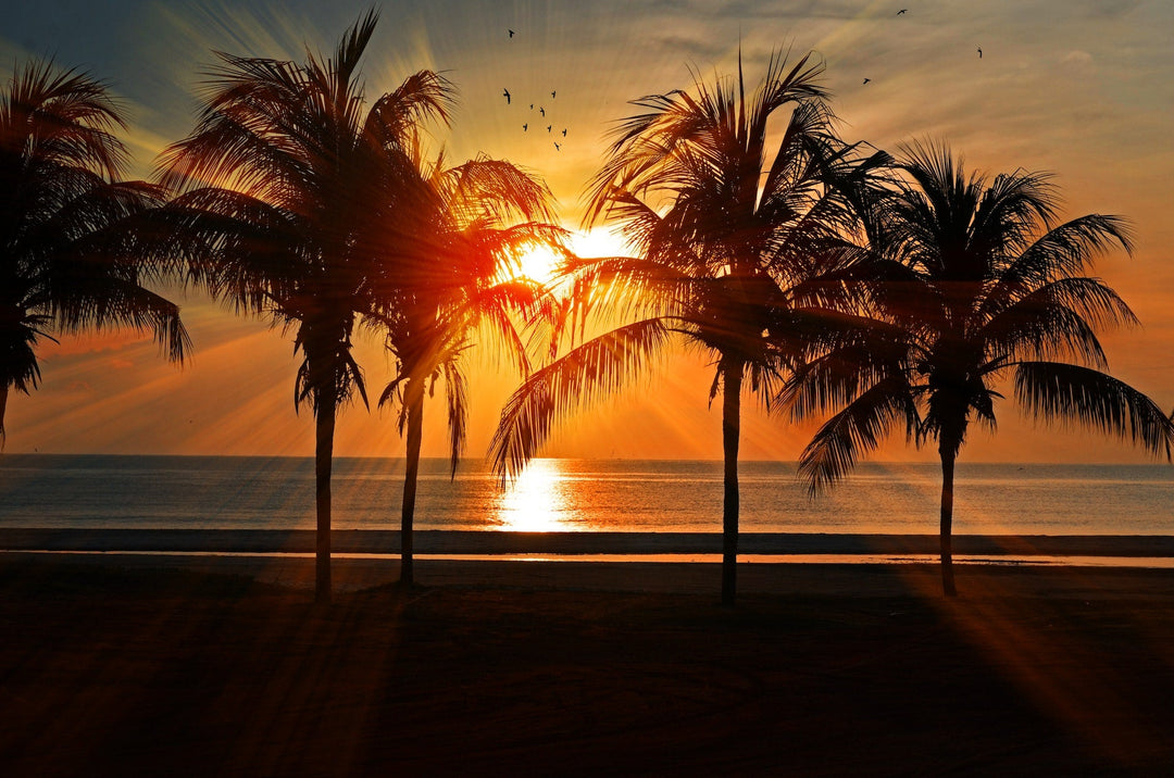 how to receive incontinence supplies through florida medicaid