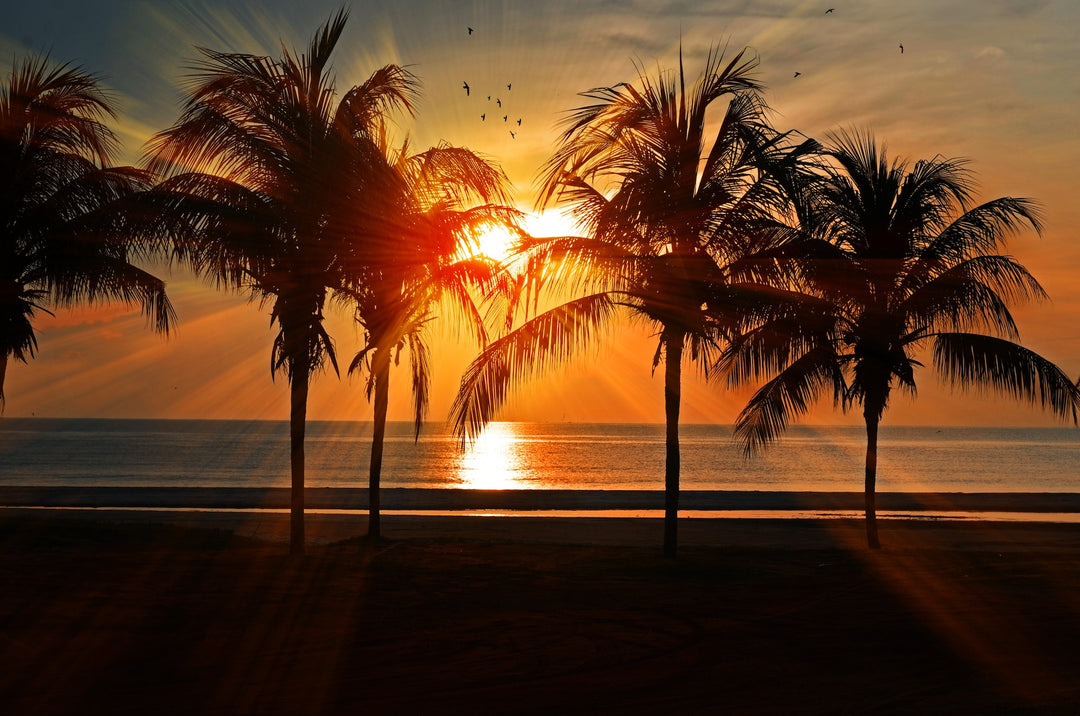 how to receive incontinence supplies through florida medicaid