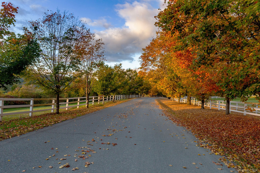 How To Receive Incontinence Supplies Through Vermont Medicaid