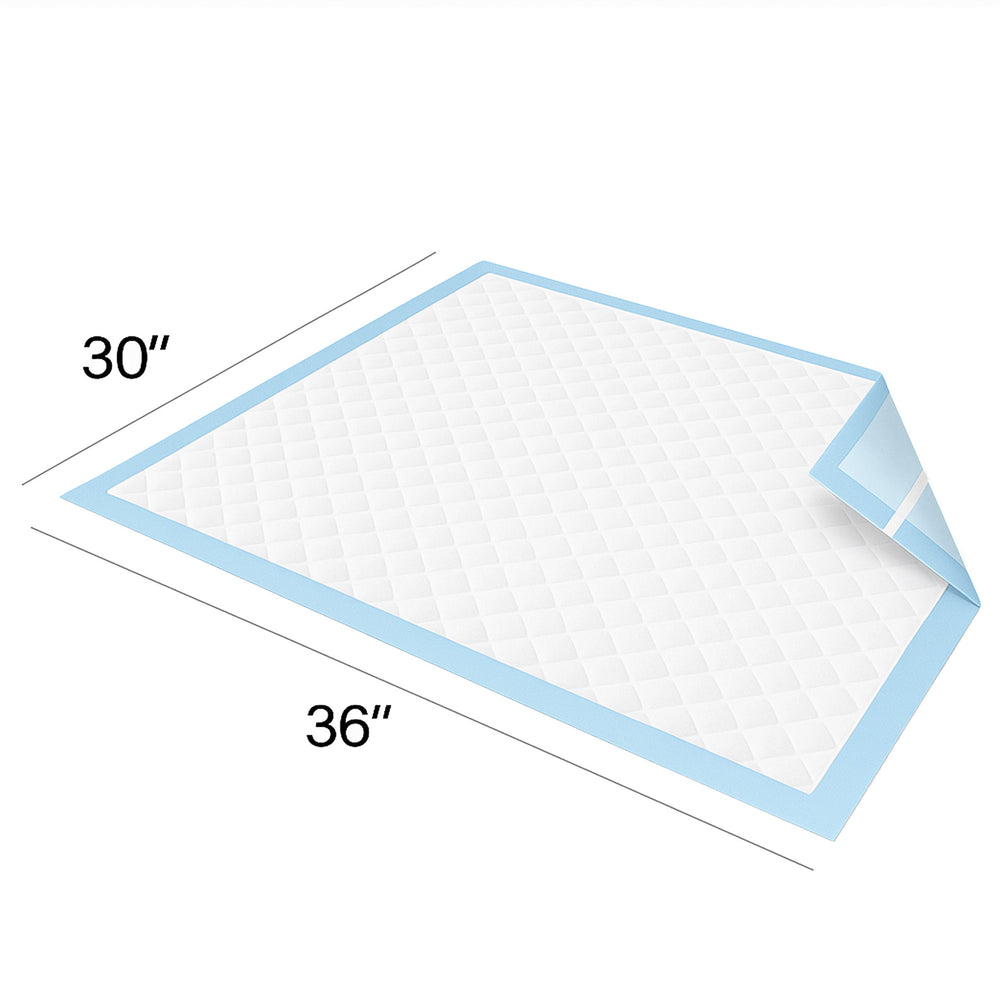 Measurement chart showing SPC Disposable Underpads with Adhesive Bed Pads with blue borders and dimensions labeled 30x36